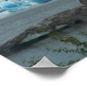 Poster Glacier de l'Alaska (Coin)