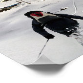 Poster Glacier de Stubai (Coin)