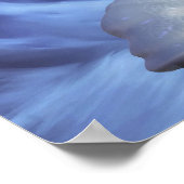 Poster Glacier Mage (Coin)