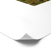 Poster Glacier Mendenhall (Coin)