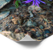 Poster Glacier Monte Rosa | Suisse (Coin)