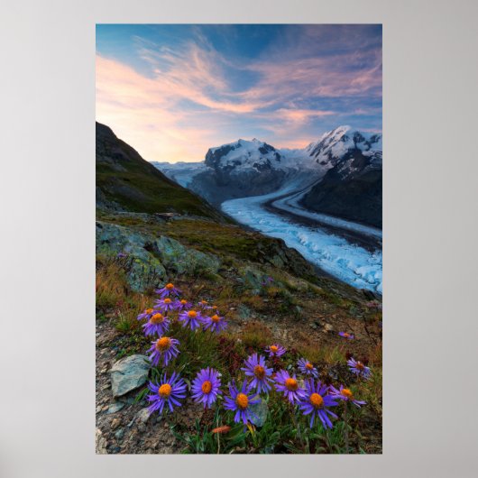 Poster Glacier Monte Rosa | Suisse (Devant)