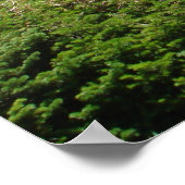 Poster Glacier Park - Aller au chemin Sun (Coin)