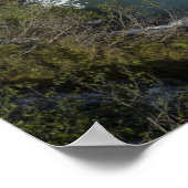 Poster Glacier Quest (Coin)