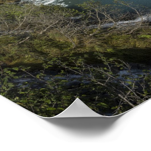 Poster Glacier Quest (Coin)