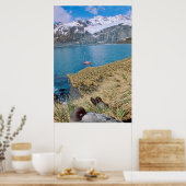 Poster Glaciers et sailing (Cuisine)