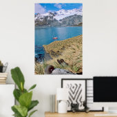 Poster Glaciers et sailing (Bureau à domicile)