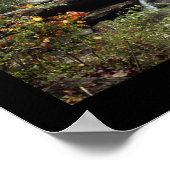 Poster Glade Creek Grist Mill (Coin)