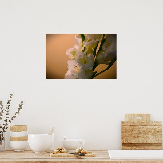 Poster Gladioli, (Cuisine)
