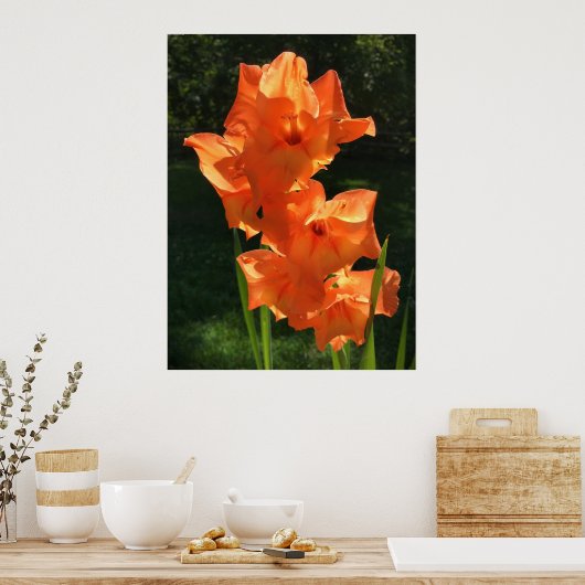 Poster Gladioli, (Cuisine)