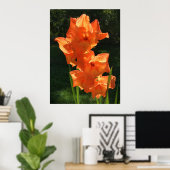 Poster Gladioli, (Bureau à domicile)