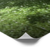 Poster Gladioli, (Coin)