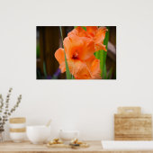 Poster Gladioli, (Cuisine)