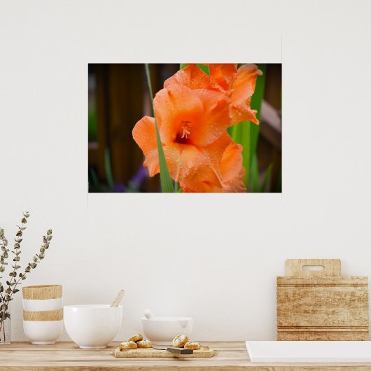 Poster Gladioli, (Cuisine)