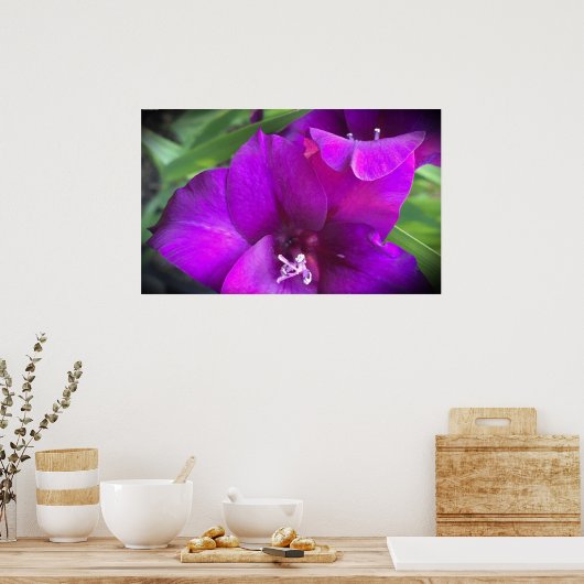 Poster Gladioli,  (Cuisine)