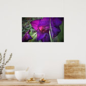 Poster Gladioli, (Cuisine)