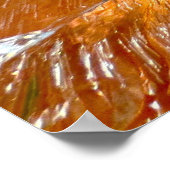 Poster Gladioli dans la glace, (Coin)