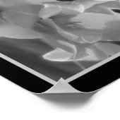 Poster Gladiolus Fleur Noir Et Blanc Abstrait (Coin)