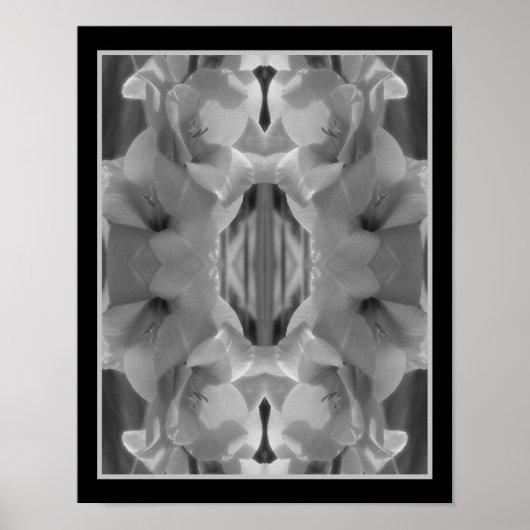 Poster Gladiolus Fleur Noir Et Blanc Abstrait (Devant)