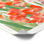 Poster Gladiolus, Schizanthus, par Tanigami Konan (Coin)