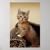 Poster Glamor Girl (Devant)