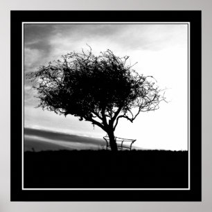 Poster Glastonbury Hawthorn. Arbre. Noir et Blanc.