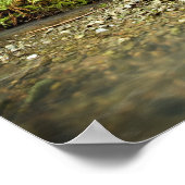 Poster Glen de la forêt de sébois (Coin)