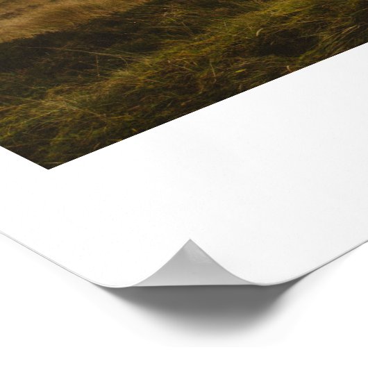 Poster Glencoe, Écosse (Coin)