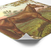 Poster Glencona (Coin)