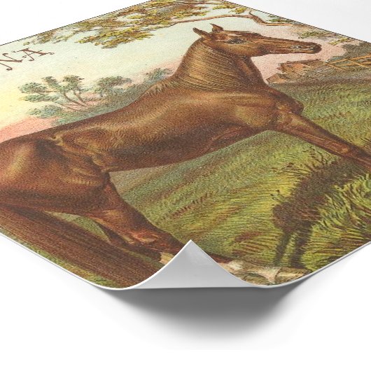 Poster Glencona (Coin)