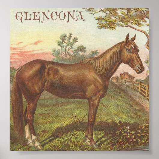 Poster Glencona (Devant)