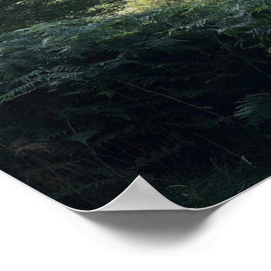 Poster Glendalaugh Lakes Comté Wicklow Irlande Europe (Coin)