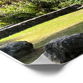 Poster Glendalaugh Lakes Comté Wicklow Irlande Europe (Coin)