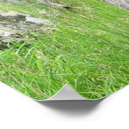 Poster Glendalough, cimetière d'Irlande (Coin)