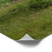 Poster Glendalough, Irlande (Coin)