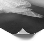 Poster Glinda la bonne sorcière, début des années 1900 (Coin)