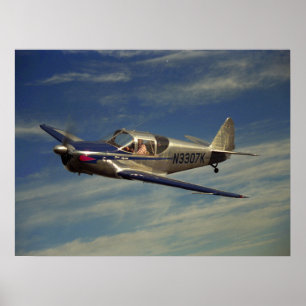 Poster Globe, Swift 1946_Classic Aviation