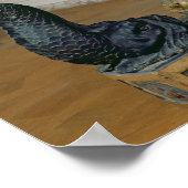 Poster globe terrestre et céleste (Coin)