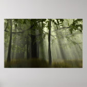 Poster Gloire aux Banyans (Devant)