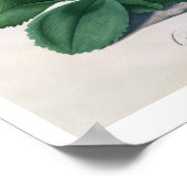 Poster Gloire de Chilton (gouache sur vellum) (Coin)