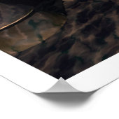 Poster Gloire du matin (Coin)