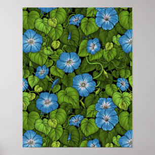 Poster Gloire du matin en bleu et vert