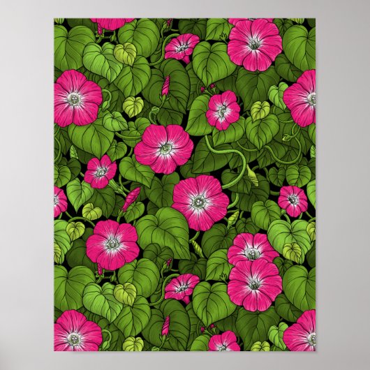 Poster Gloire du matin en rose et vert (Devant)