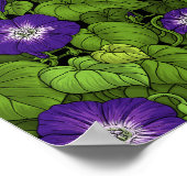 Poster Gloire du matin en violet et vert (Coin)