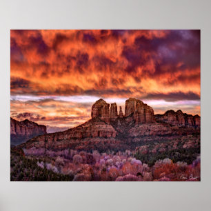 Poster Gloire du matin rose