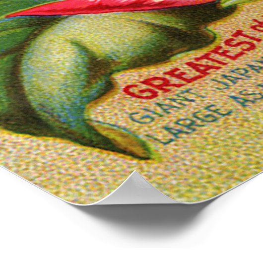 Poster Glories du matin Imprimer (Coin)