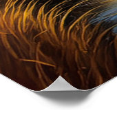 Poster Glorieux coucher de soleil africain (Coin)