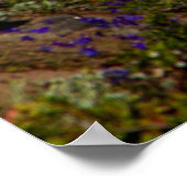 Poster glorieux du matin (Coin)