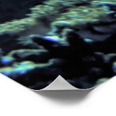 Poster Glorieux Lion-fish (Coin)