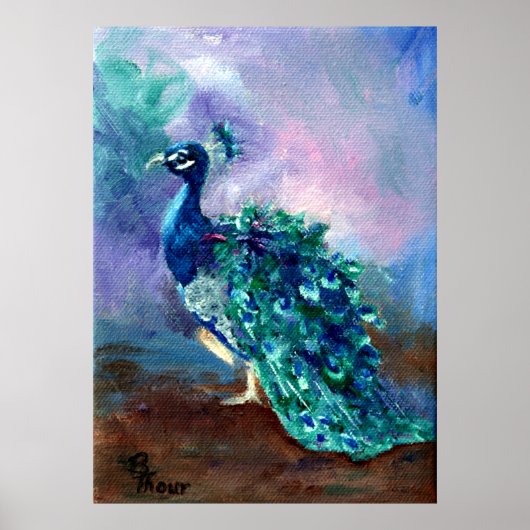Poster Glorieux Peacock II (Devant)
